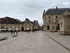 Réparation dégât des eaux Dijon